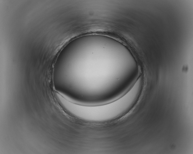 X0000111611353200907311129
