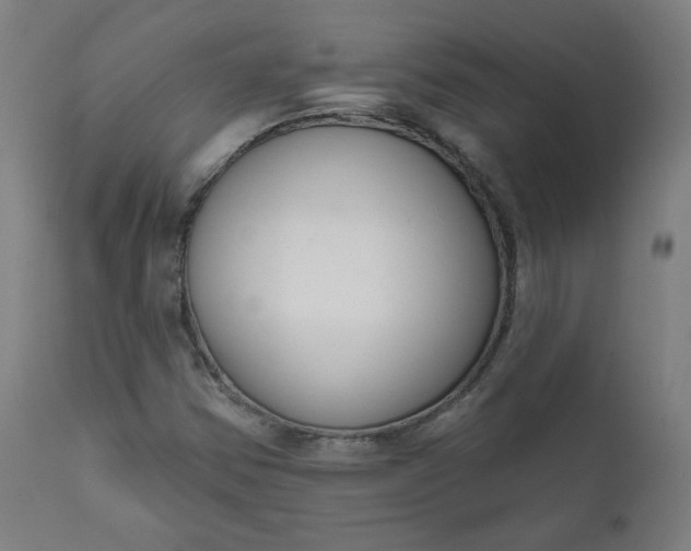 X0000111611354200907311129