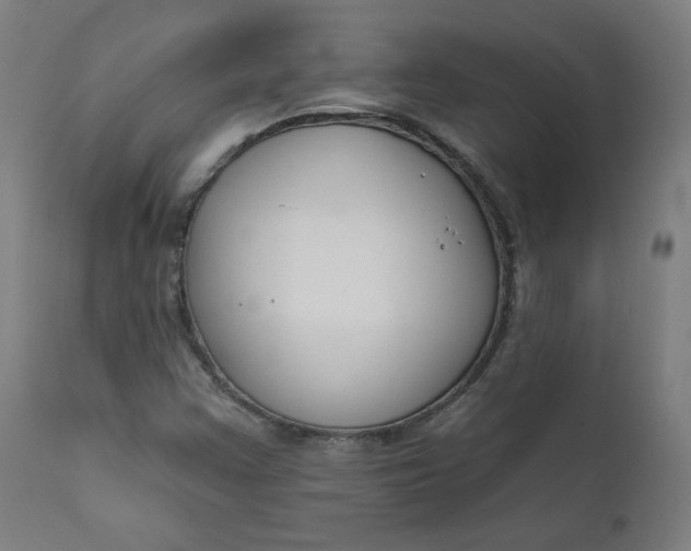 X0000111611355200907311129