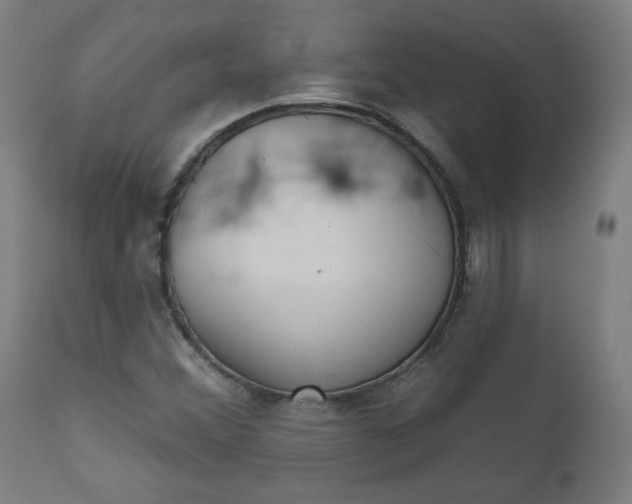 X0000111611356200907311129