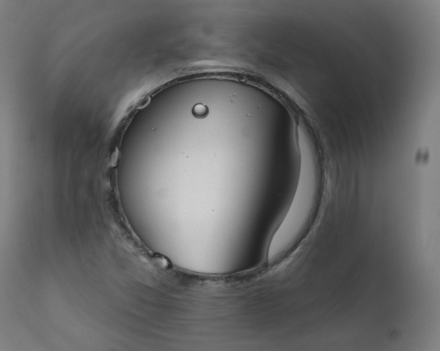 X0000111611357200907311129