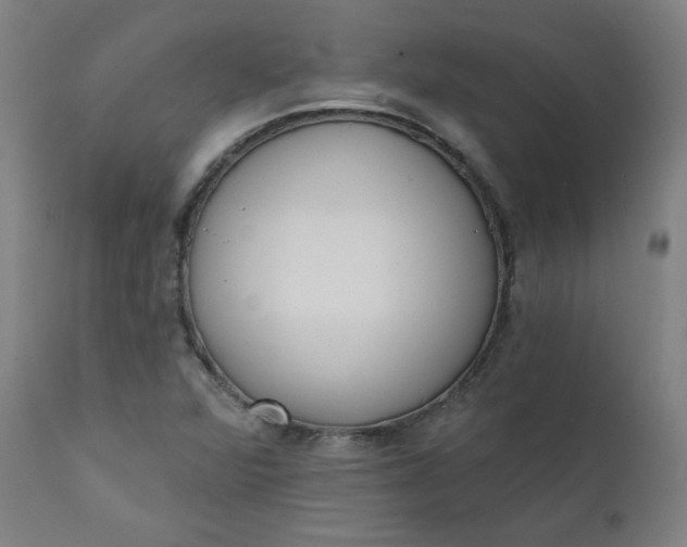 X0000111611360200907311129