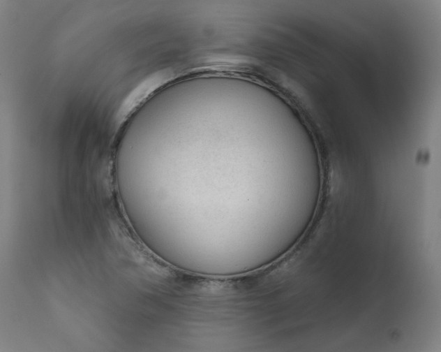 X0000111611362200907311129