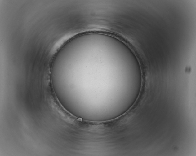 X0000111611363200907311129