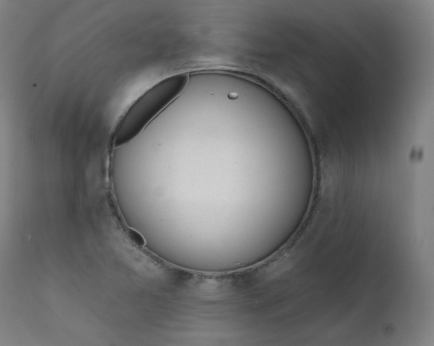 X0000111611365200907311129