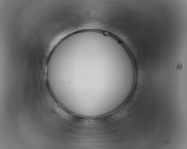 X0000111611366200907311129