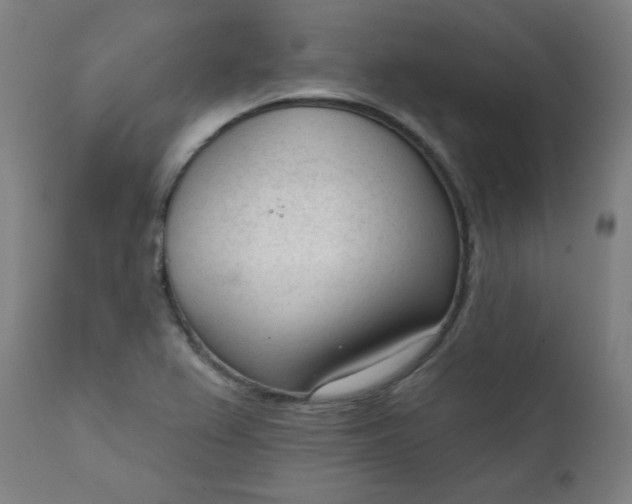 X0000111611367200907311129
