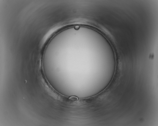 X0000111611368200907311129