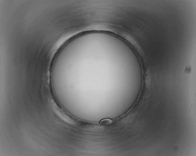 X0000111611372200907311129