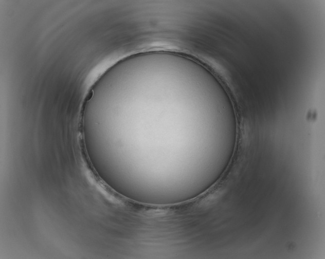 X0000111611373200907311129