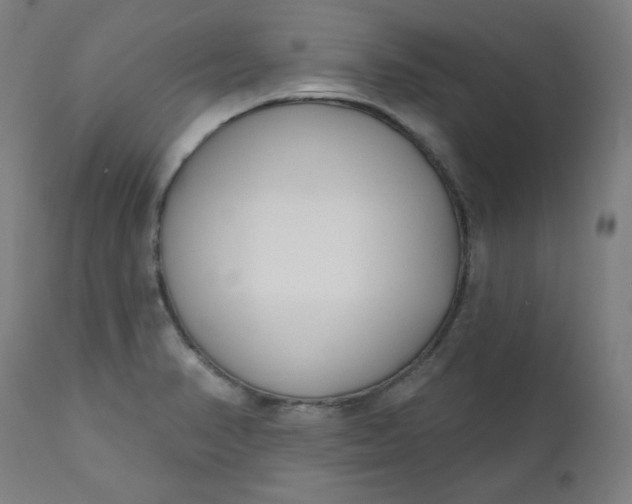 X0000111611374200907311129