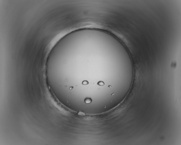 X0000111611375200907311129