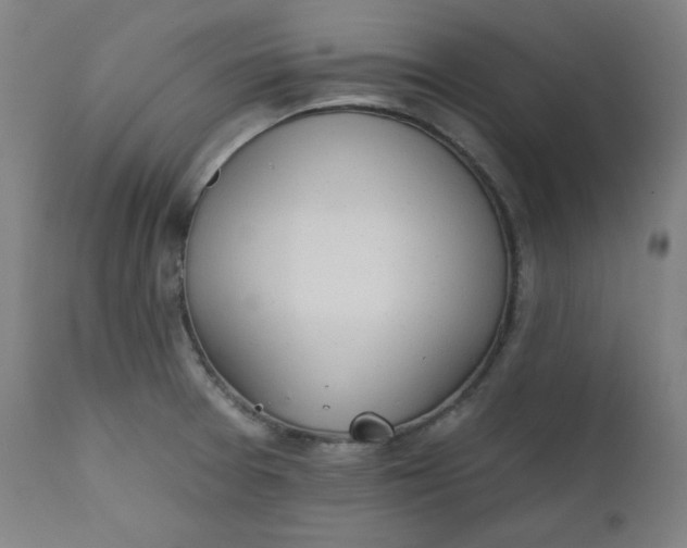 X0000111611377200907311129