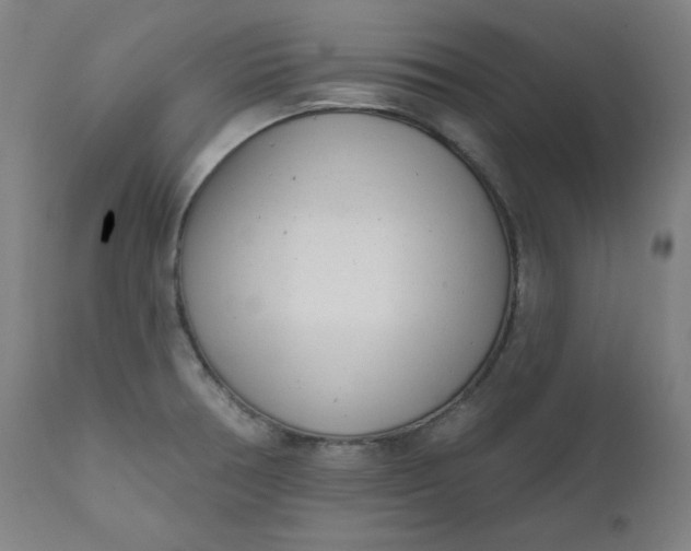 X0000111611378200907311129