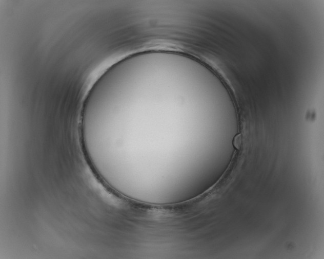 X0000111611379200907311129