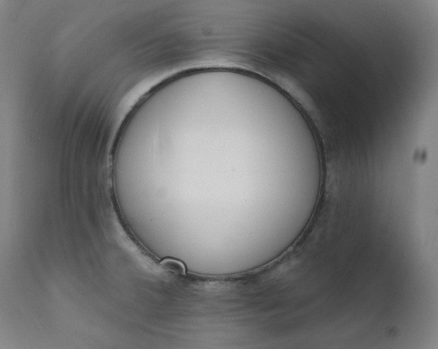 X0000111611380200907311129
