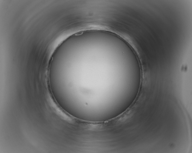 X0000111611381200907311129