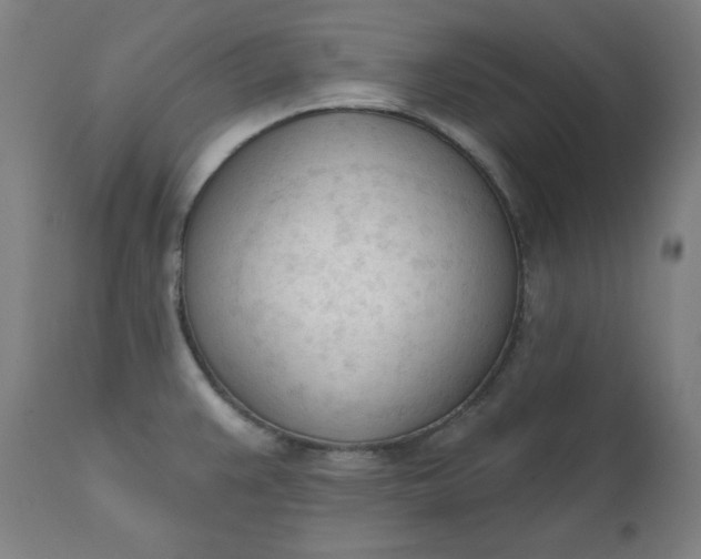 X0000111611383200907311129