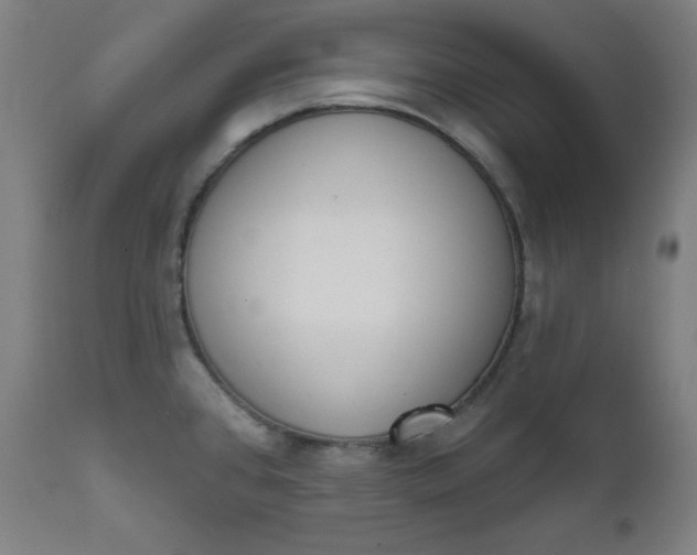 X0000111611384200907311129
