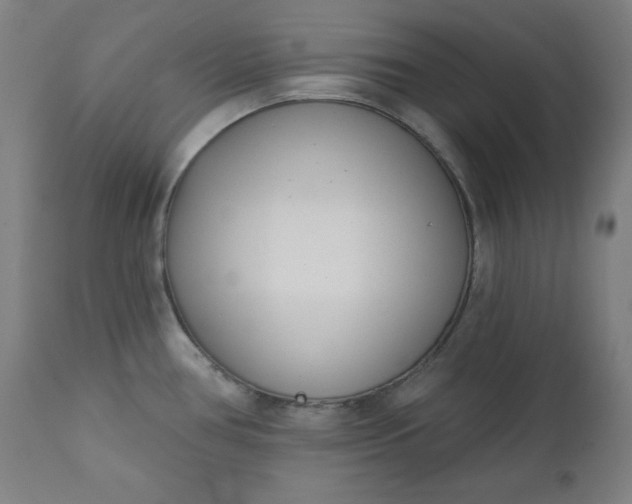 X0000111611386200907311129