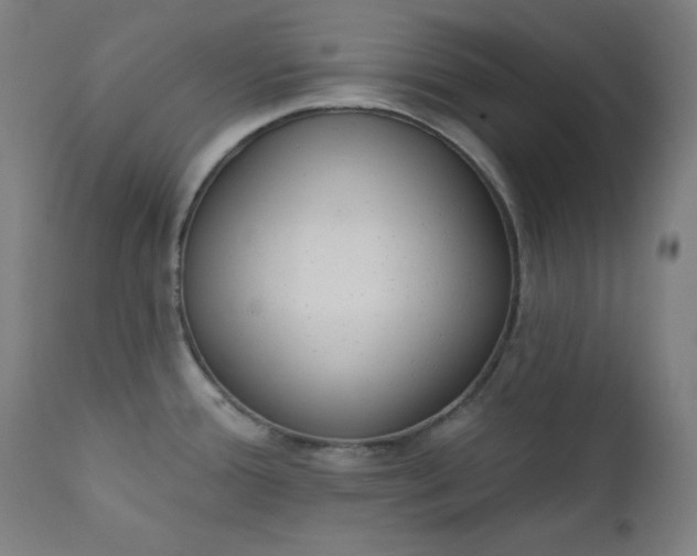 X0000111611388200907311129