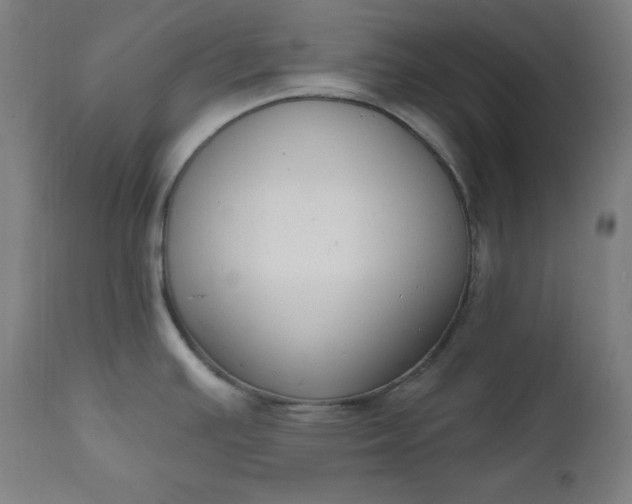 X0000111611391200907311129