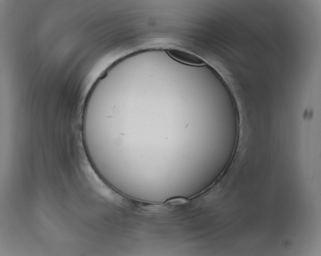 X0000111611392200907311129