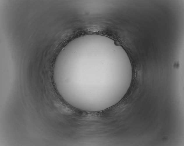 X0000111611393200907311128