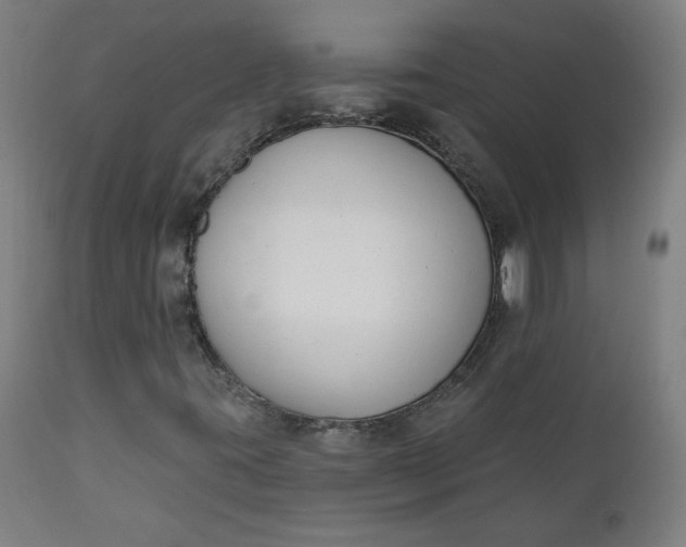 X0000111611395200907311128