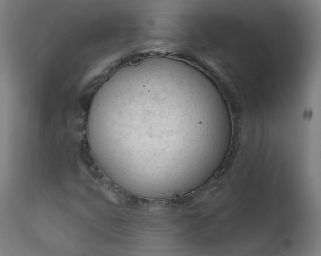 X0000111611399200907311128