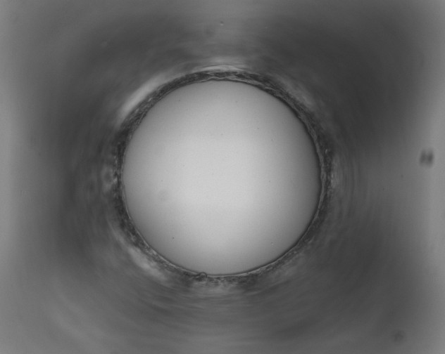 X0000111611400200907311128