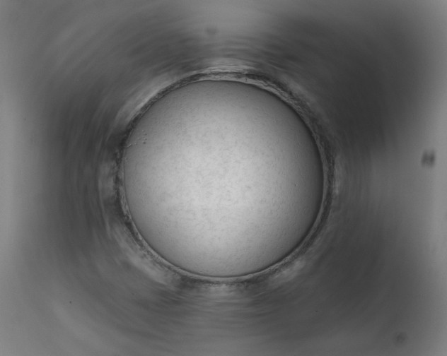 X0000111611401200907311128