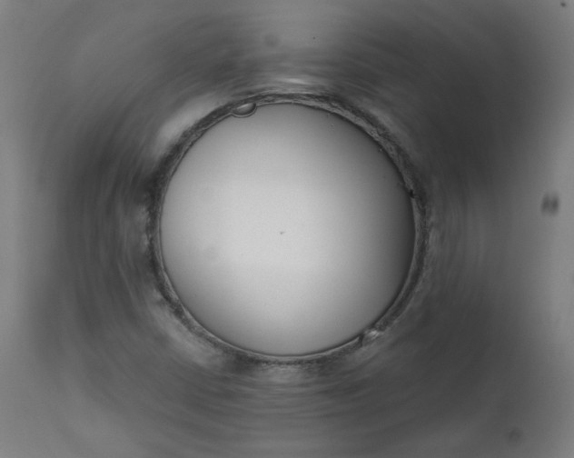 X0000111611402200907311128