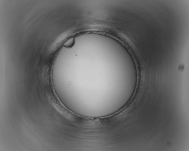 X0000111611403200907311128