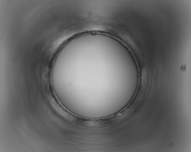 X0000111611404200907311128