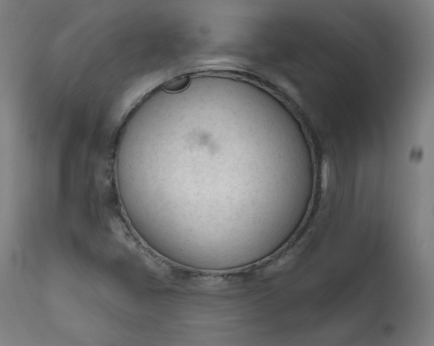 X0000111611405200907311128
