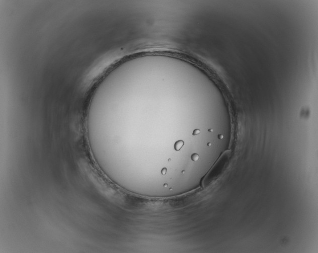 X0000111611407200907311128