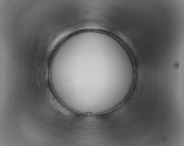 X0000111611408200907311128