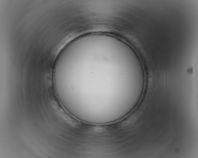 X0000111611409200907311128