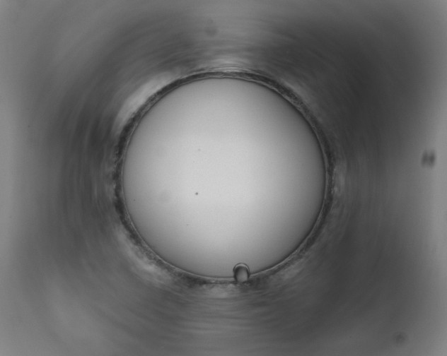 X0000111611410200907311128