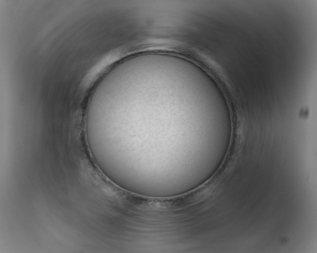 X0000111611411200907311128