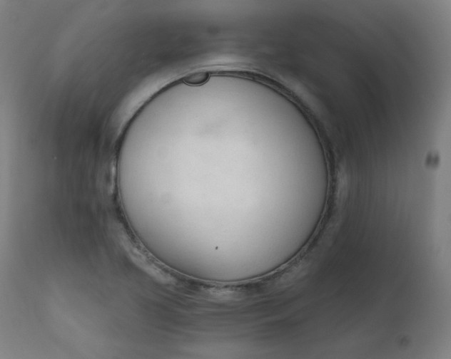 X0000111611413200907311128