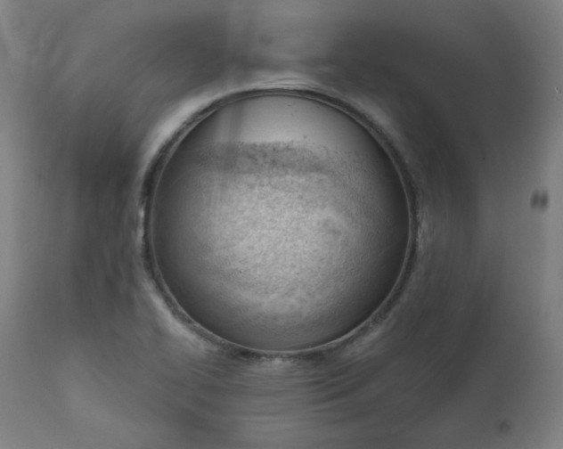 X0000111611414200907311128