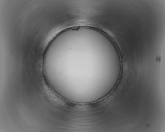 X0000111611415200907311128