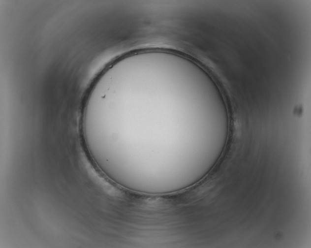 X0000111611416200907311128