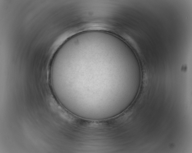 X0000111611419200907311128