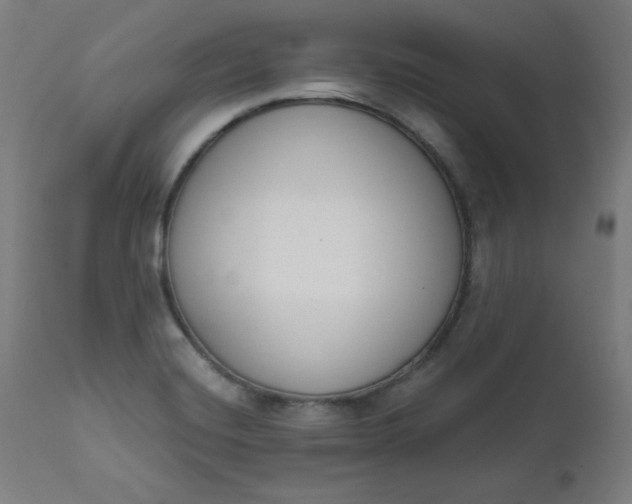 X0000111611420200907311128
