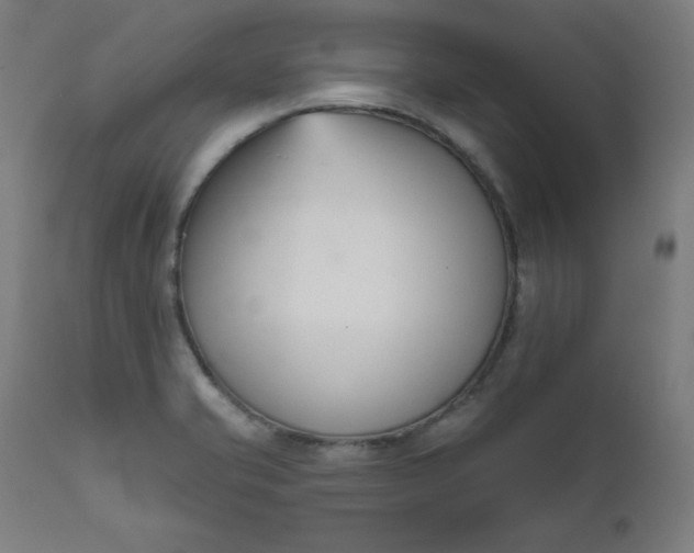 X0000111611421200907311128