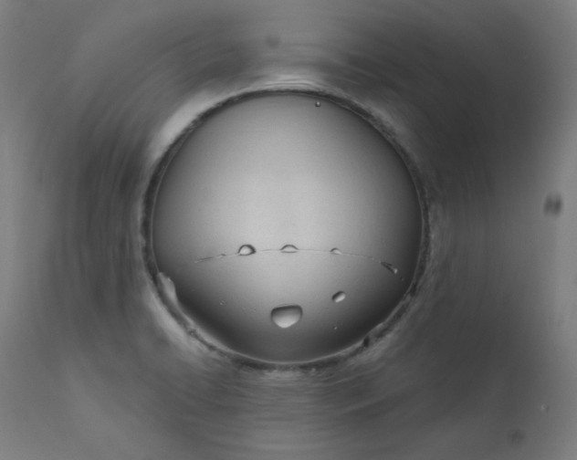 X0000111611422200907311128