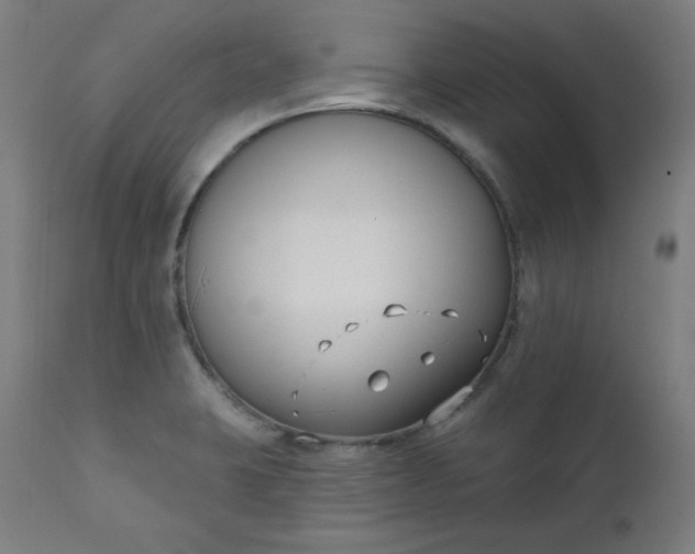 X0000111611423200907311128